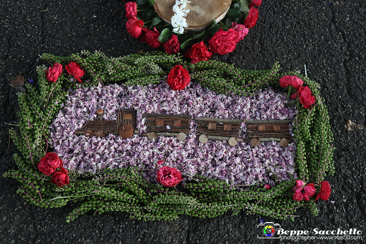 VBS_9730 - Infiorata di Villanova d'Asti 2023.jpg